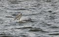 09 c_DSC_0358